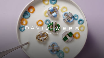 David Webb