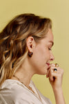 Guitar Pick Earrings in Tiger's Eye