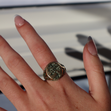 Tree of Life Signet