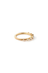 Diamonds on Chain Ring