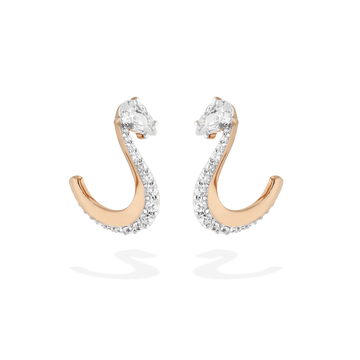 Nova Pair of Earrings
