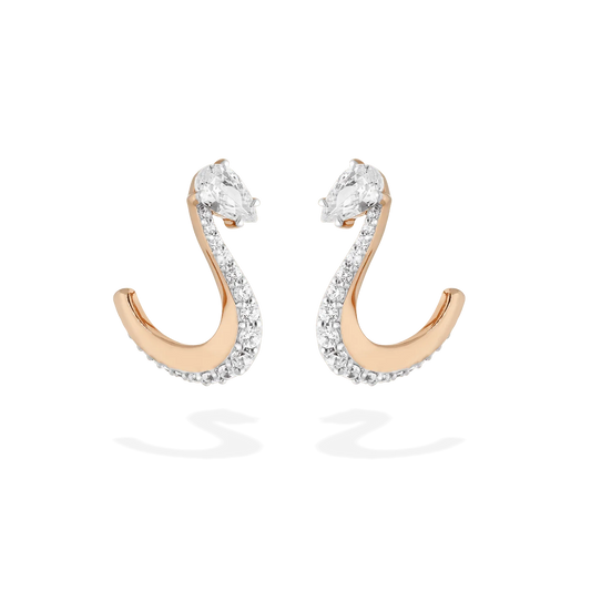 Nova Pair of Earrings