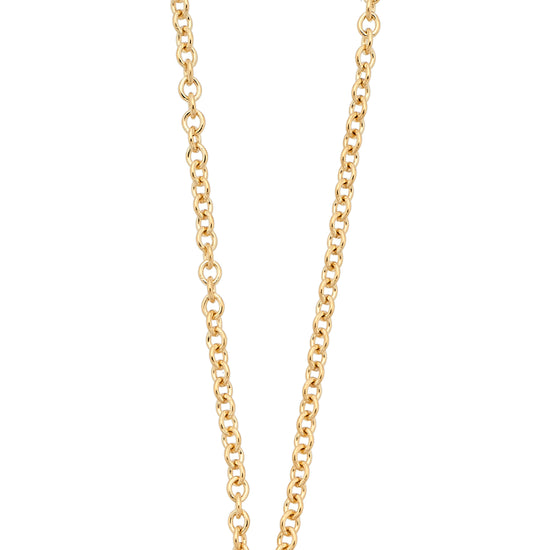 Ten Fourteen Ruby Shaker Pendant