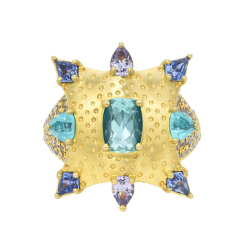 Lagoon Supernova Explosion Paraiba Ring
