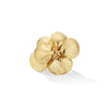 Shell Charm Ring