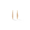 Small Feather Earrings