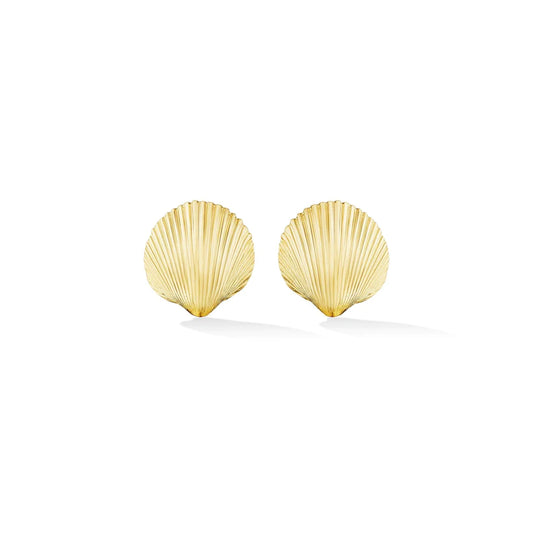 Small Shell Stud