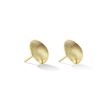 Small Shell Stud