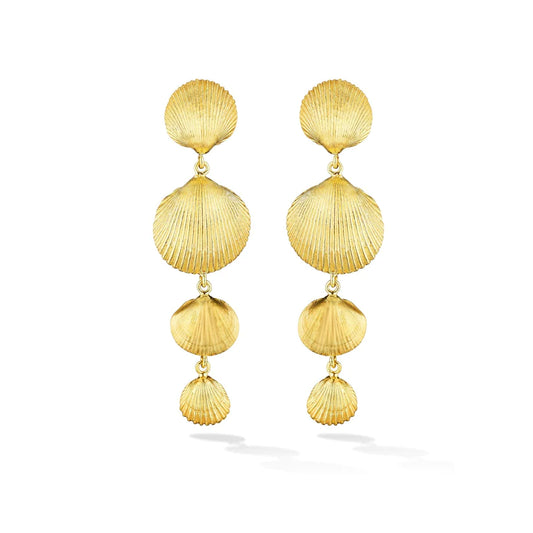 Shell Drop Earrings