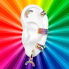 Rainbow EarWish