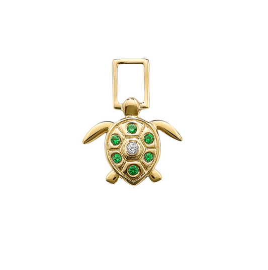 Turtle EarWish